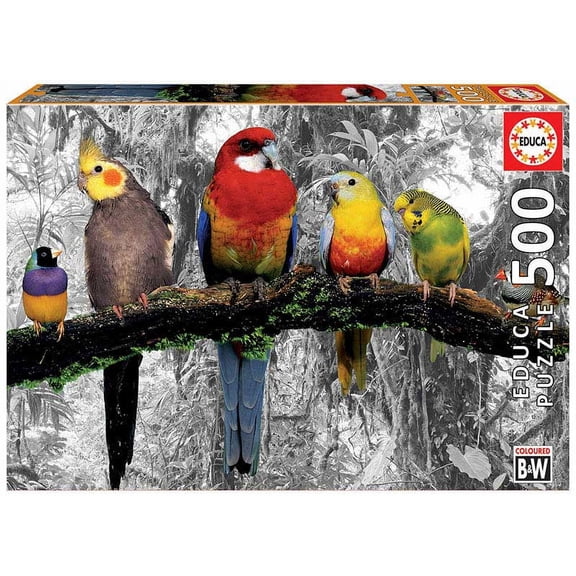 Birds On The Jungle, a 500-piece Puzzle by Educa