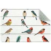Birds Sitting on Wires Pattern Small Area Rug, Non-Slip Door Mat Indoor Floor Mat, Washable Kitchen Rug Entrance DMat for Bedroom Living Room