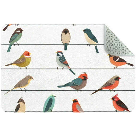 Birds Sitting on Wires Pattern Small Area Rug, Non-Slip Door Mat Indoor Floor Mat, Washable Kitchen Rug Entrance DMat for Bedroom Living Room