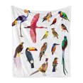 thumbnail image 1 of Birds Soft Flannel Fleece Blanket, Colored Composition Bird Set with Poly Design Triangle in Mosaic Style Illustration, Cozy Plush for Indoor and Outdoor Use, 60" x 80", Multicolor, by Ambesonne, 1 of 6