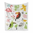thumbnail image 1 of Birds Soft Flannel Fleece Blanket, Tropical Themed Exotic Birds Alluring Keel-Billed Toucan Pinky Flamingo and Pelican, Cozy Plush for Indoor and Outdoor Use, 50" x 70", Multicolor, by Ambesonne, 1 of 6