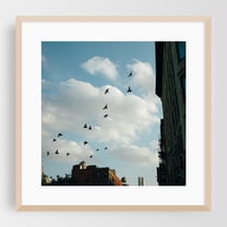 Birds, Soho 01 - Manhattan New York Photography Oak Framed Wall Art Print 12 x 12 inches