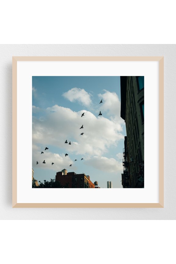 Birds, Soho 01 - Manhattan New York Photography Oak Framed Wall Art Print 12 x 12 inches