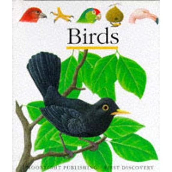 Pre-Owned Birds (Spiral-bound) 1851031073 9781851031078