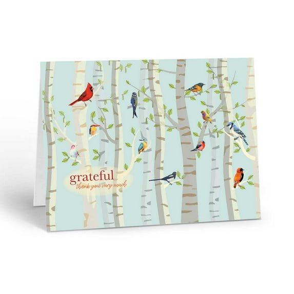 Birds Thank You Note Card - 10 Thank You Note Cards and Envelopes - Birds - B144