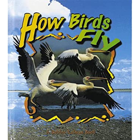 Pre-Owned How Birds Fly (Library Binding) 0865057540 9780865057548