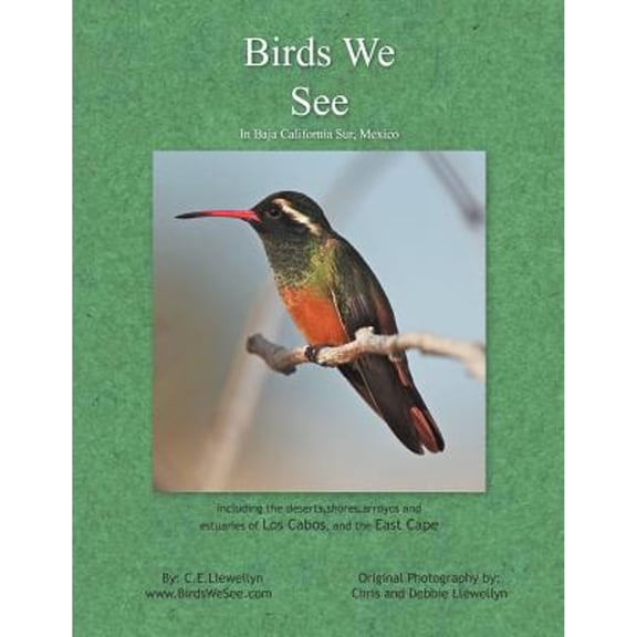 Birds We See (Paperback)