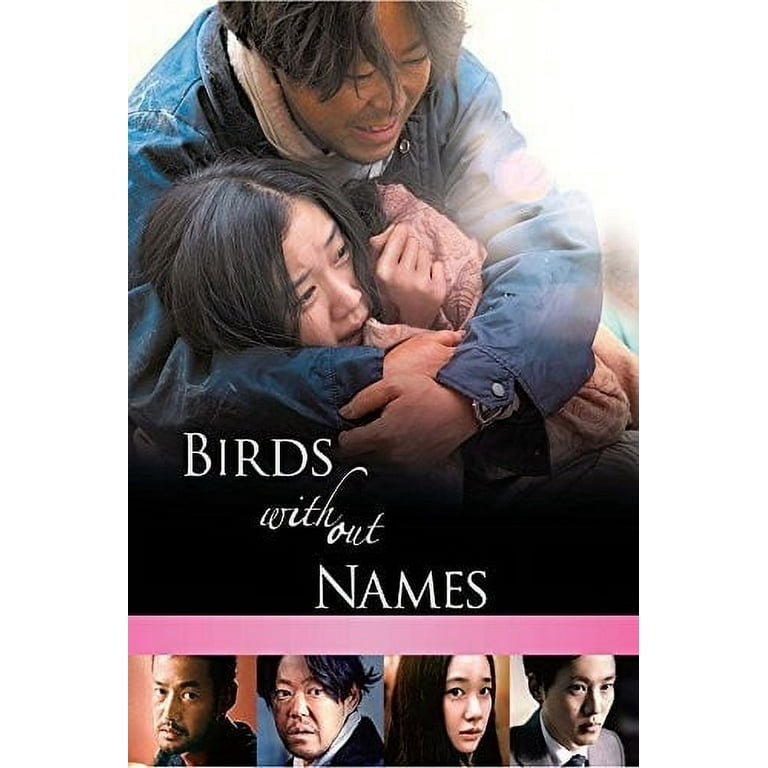 Birds Without Names (DVD) - Walmart.com