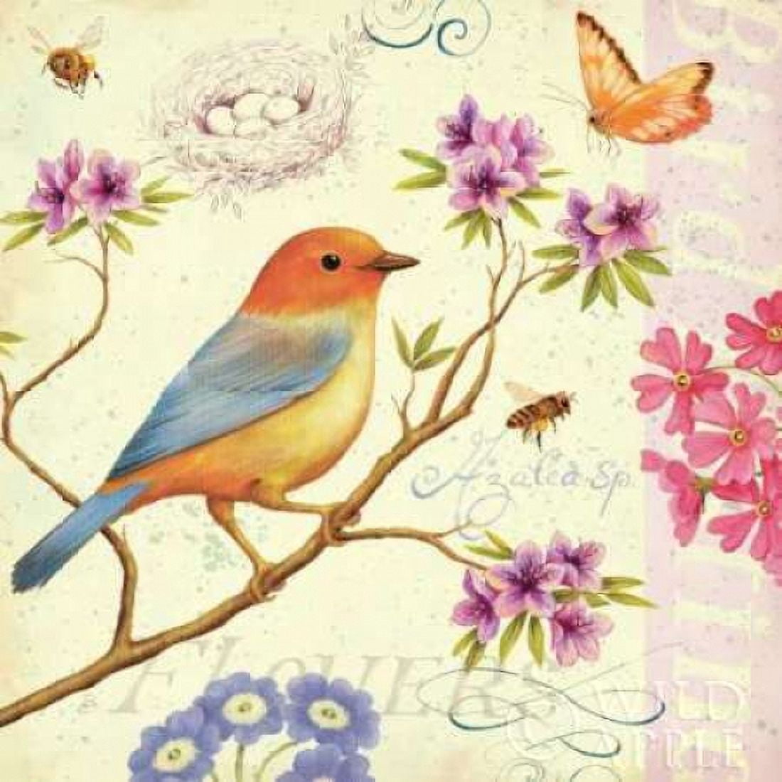 Birds and Bees II Canvas Art - Daphne Brissonnet (24 x 24)