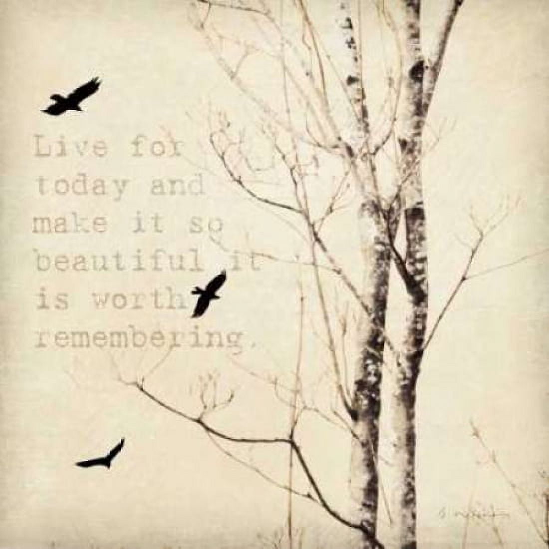 Birds and Branches II Canvas Art - Amy Melious (24 x 24)