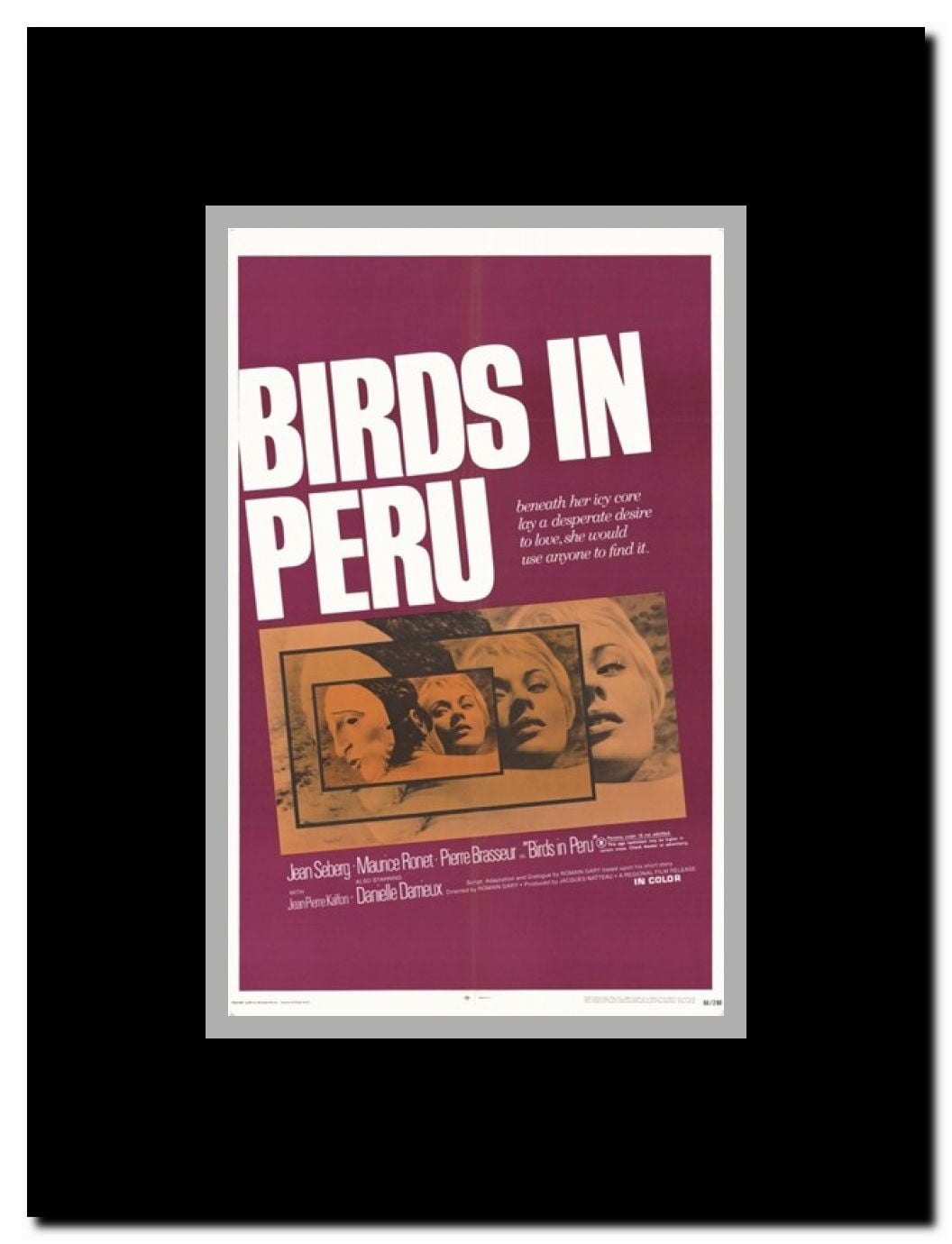 Birds in Peru Framed Movie Poster