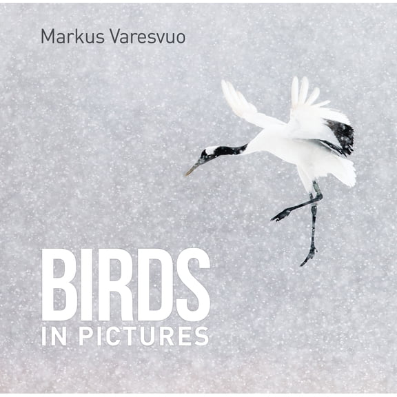 Birds in Pictures (Paperback)