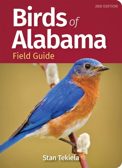 Bird Identification Guides Birds of Alabama Field Guide, (Paperback)