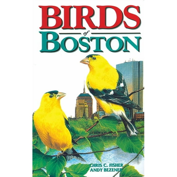 City Bird Guides Birds of Boston, (Paperback)