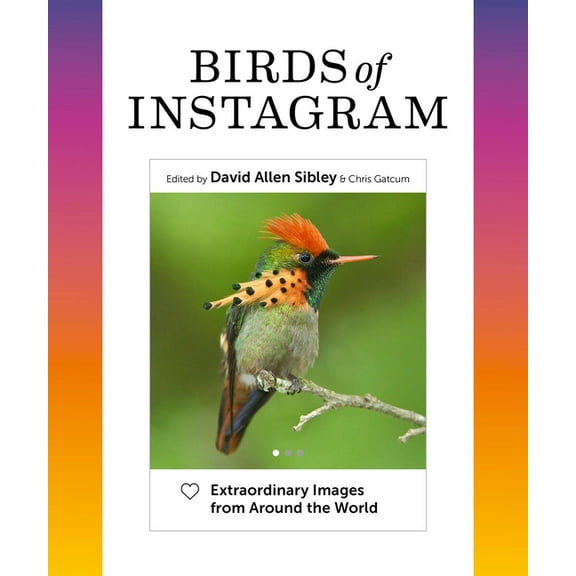 Birds of Instagram: Extraordinary Images from Around the World, (Hardcover)