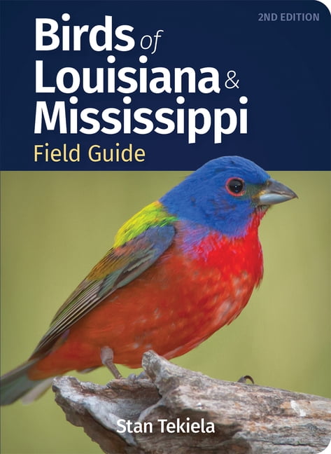 Bird Identification Guides Birds of Louisiana & Mississippi Field Guide, (Paperback)