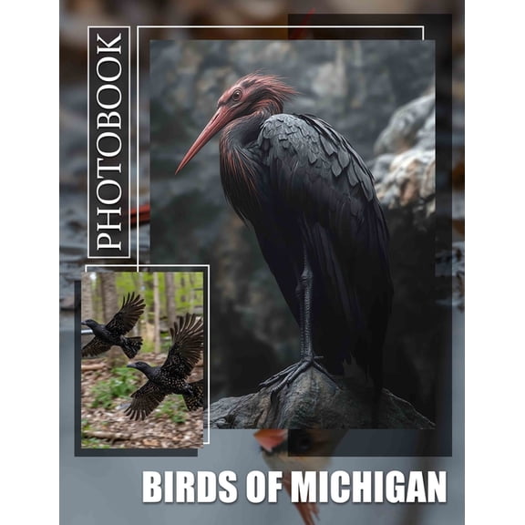 Birds of Michigan Photo Book: Explore The Avian Diversity Of Michigan Through 40 Stunning Images And Captivating Details, (Paperback)