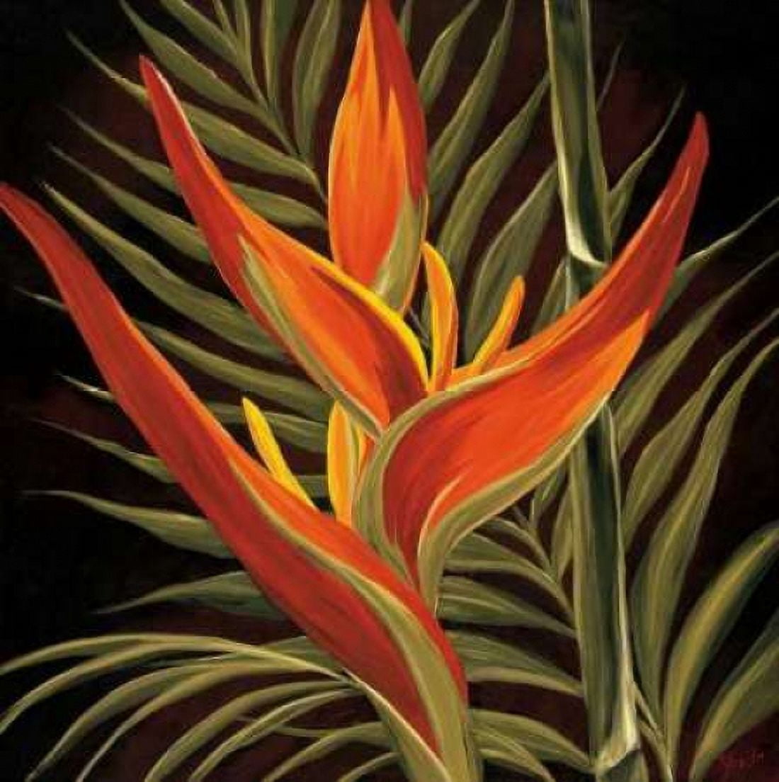 Birds of Paradise I Canvas Art - Yvette St Amant (24 x 24)