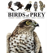 Mini Encyclopedias Birds of Prey, Paperback