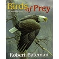 thumbnail image 1 of Pre-Owned Birds of Prey - An Introduction Paperback Robert Bateman, 1 of 1