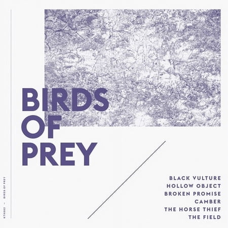 Birds of Prey - Birds of Prey - Electronica - Vinyl