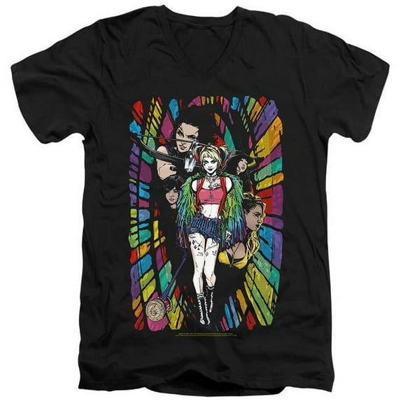 Birds of Prey & Color Corridor-Short Sleeve Adult V-Neck 30-1 T-Shirt, Black - 2X