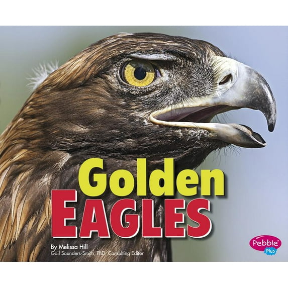 Birds of Prey: Golden Eagles (Paperback)