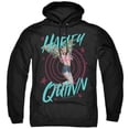thumbnail image 1 of Birds of Prey & On Target-Adult Pullover Hoodie, Black - 2X, 1 of 1