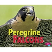 Birds of Prey Peregrine Falcons, Paperback