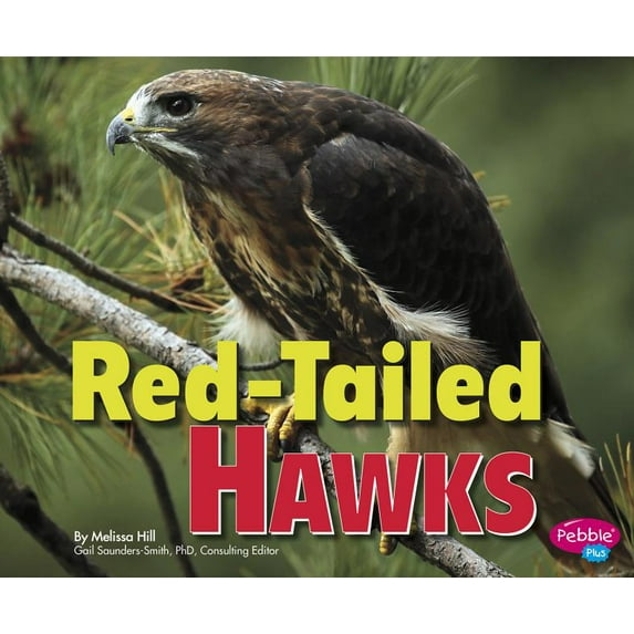Birds of Prey: Red-Tailed Hawks (Paperback)