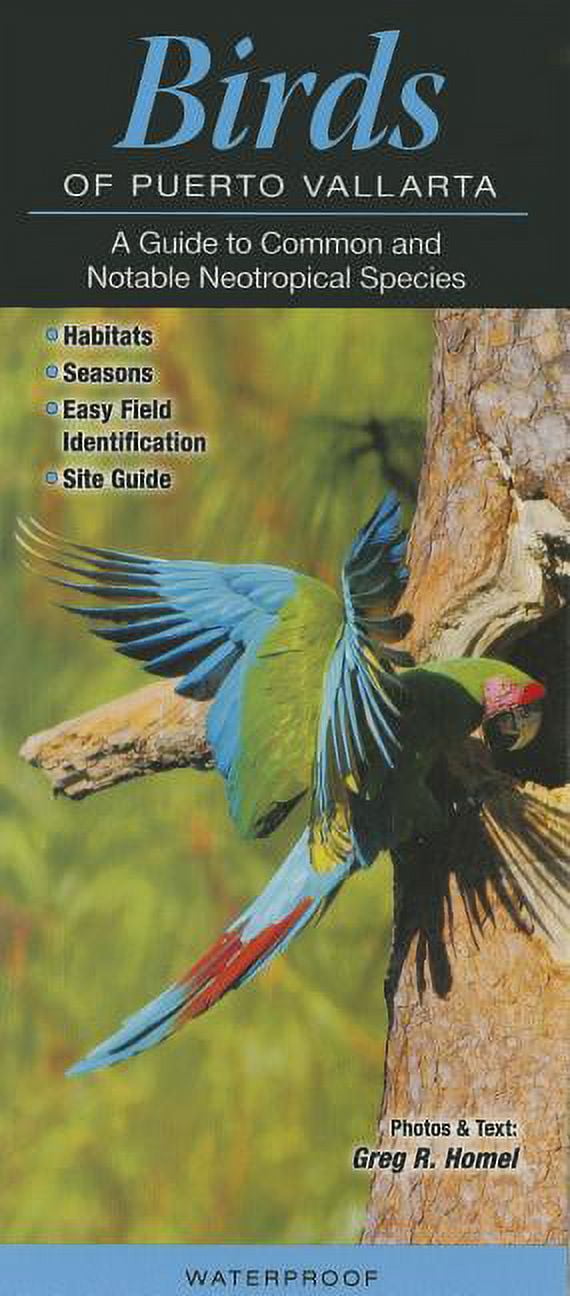 Birds of Puerto Vallarta A Guide to Common & Notable Neotropical