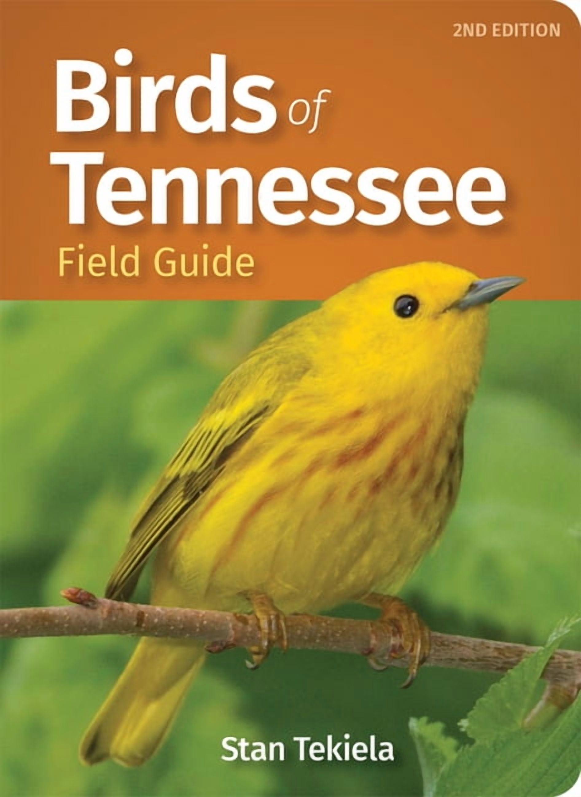 Bird Identification Guides Birds of Tennessee Field Guide, (Paperback)