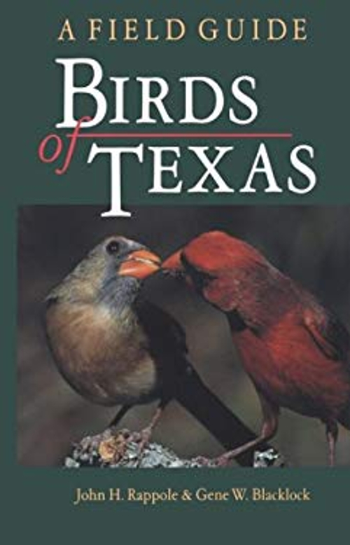 Pre-Owned Birds of Texas: A Field Guide (W L MOODY, JR, NATURAL HISTORY SERIES) (Hardcover) 0890965447 9780890965443