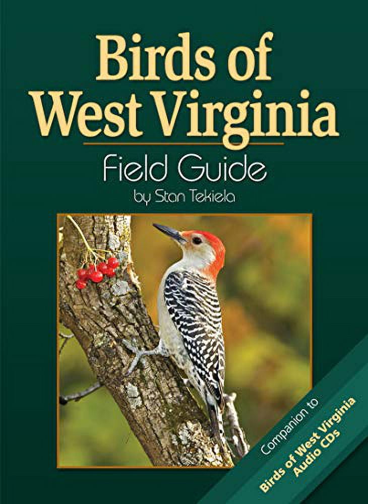 Bird Identification Guides Birds of West Virginia Field Guide, (Paperback)