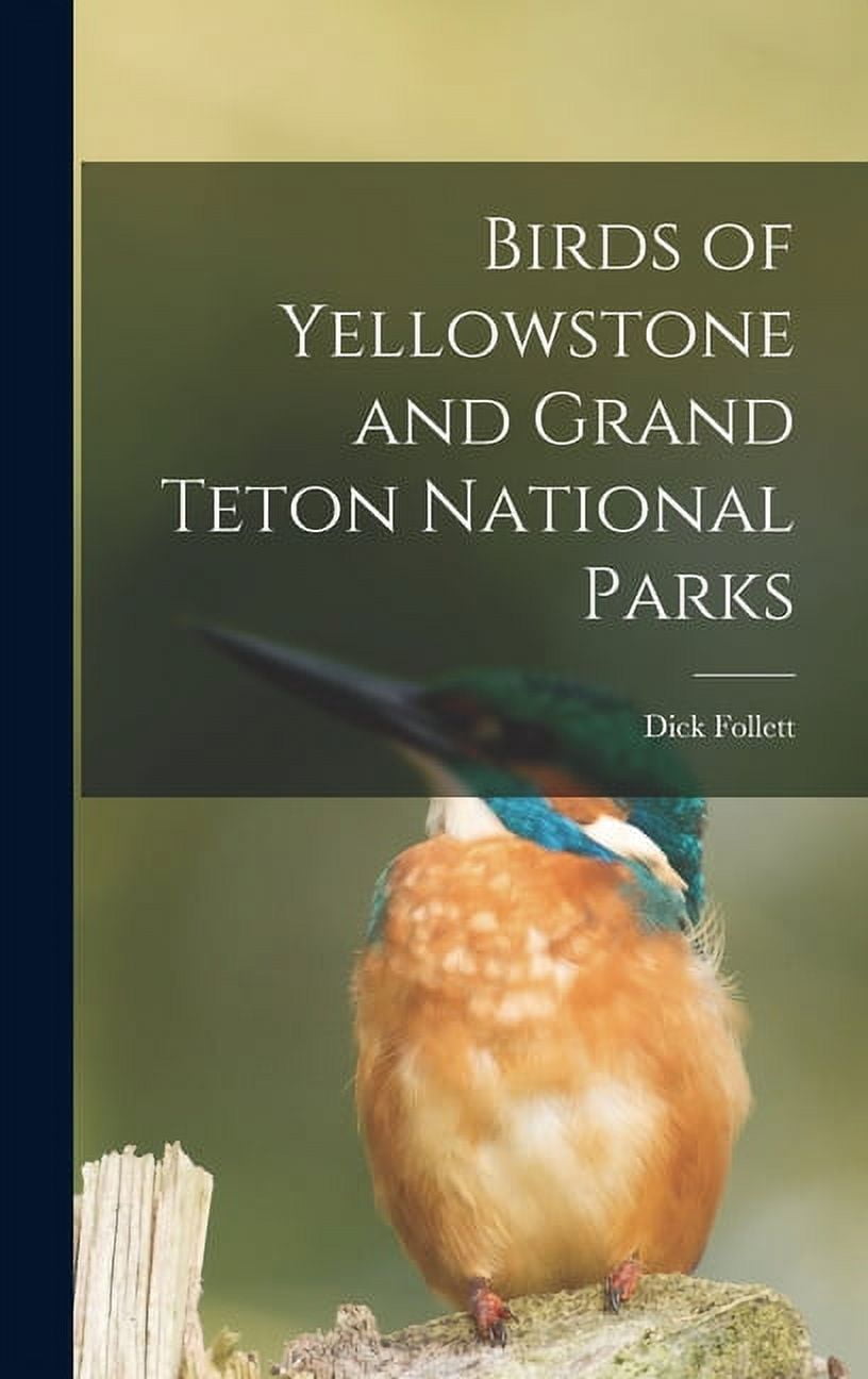 Birds of Yellowstone and Grand Teton National Parks, (Hardcover)