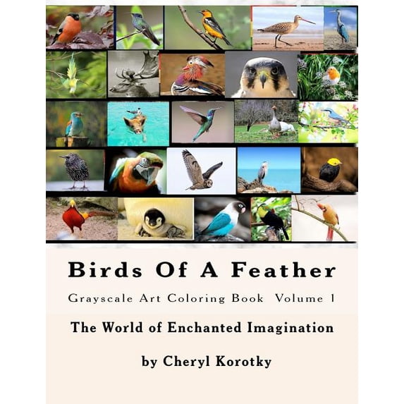 Birds of a Feather: Birds Of A Feather : Grayscale Art Coloring Book (Paperback)