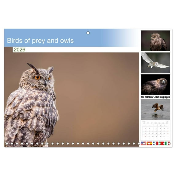 Birds of prey and owls (Monthly Wall Calendar 2026 16.5 x 23.4 (open)), CALVENDO 14 Month Calendar