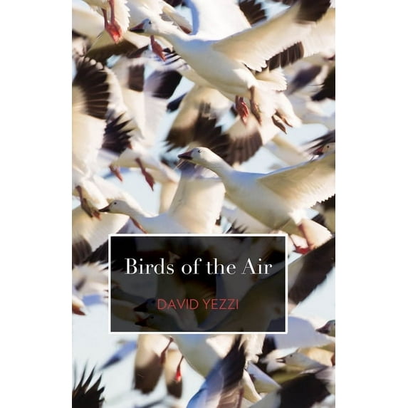 Birds of the Air (Paperback)