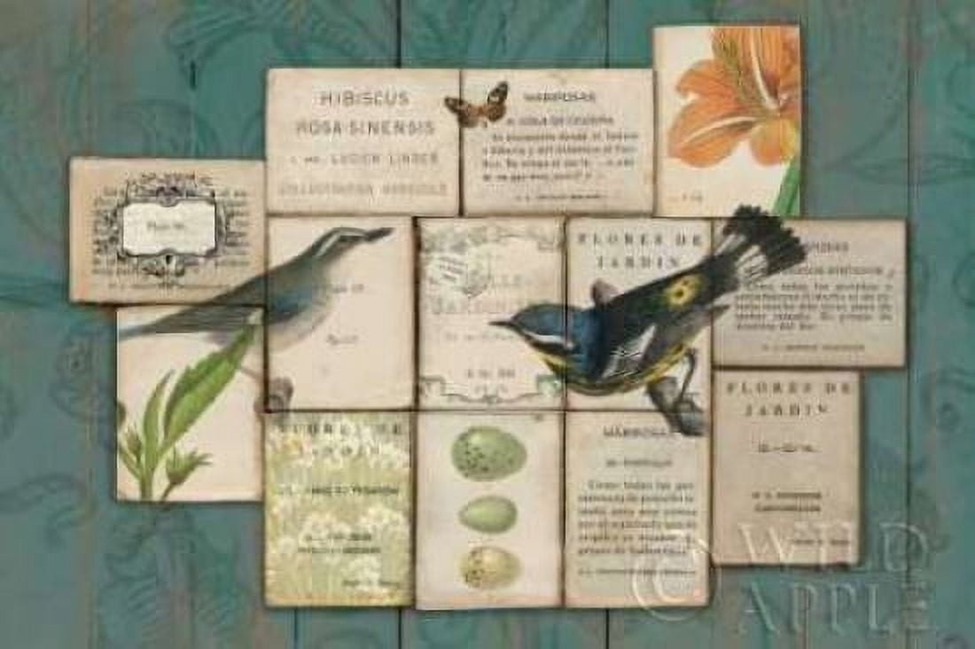 Birds of the Garden Canvas Art - Sue Schlabach (12 x 18)