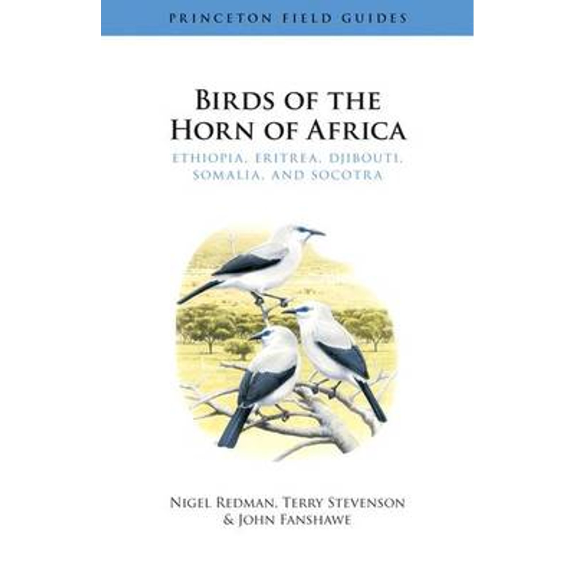 Pre-Owned Birds of the Horn of Africa: Ethiopia, Eritrea, Djibouti, Somalia, and Socotra (Princeton Field Guides) (Paperback) 0691143455 9780691143453