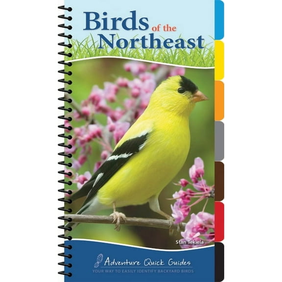 Adventure Quick Guides Birds of the Northeast: Your Way to Easily Identify Backyard Birds, (Spiral-Bound)