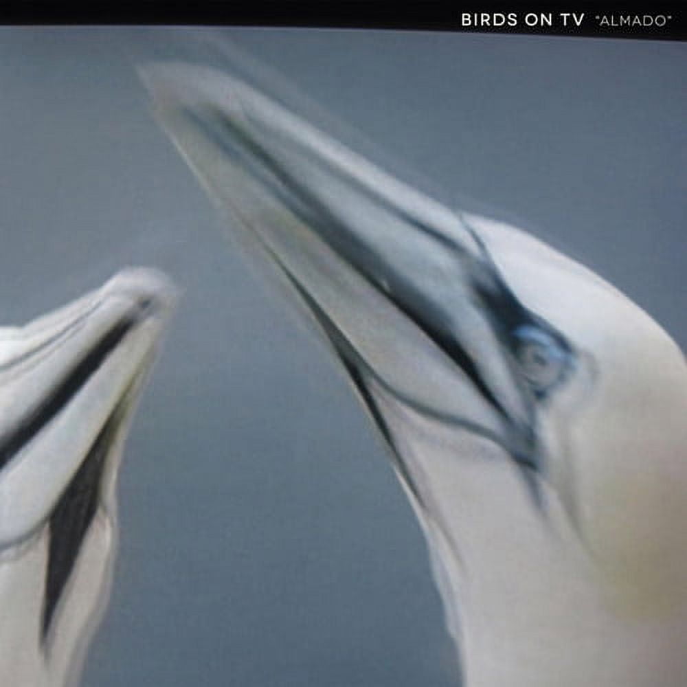 Birds on TV - Almado - Music & Performance - Vinyl