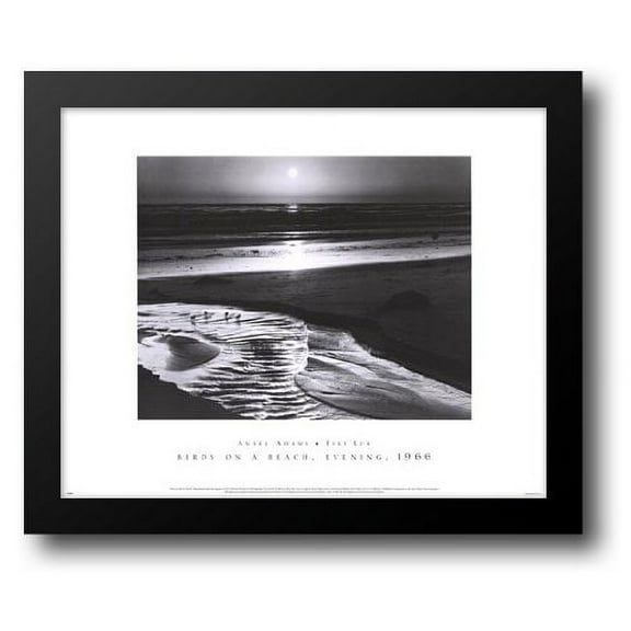 Birds on a Beach 24x20 Framed Art Print by Adams, Ansel