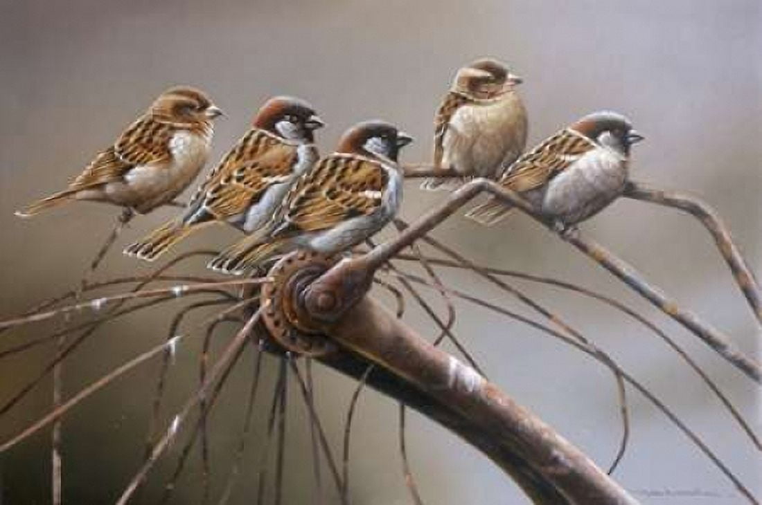 Birds on a broken bicycle Canvas Art - Jan Weenink (24 x 36)