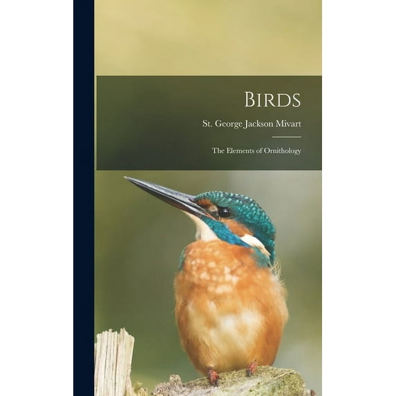 Birds : the Elements of Ornithology (Hardcover)