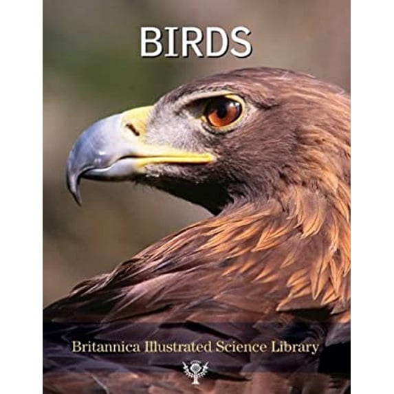 Pre-Owned Birds (Hardcover) 1593393857 9781593393854