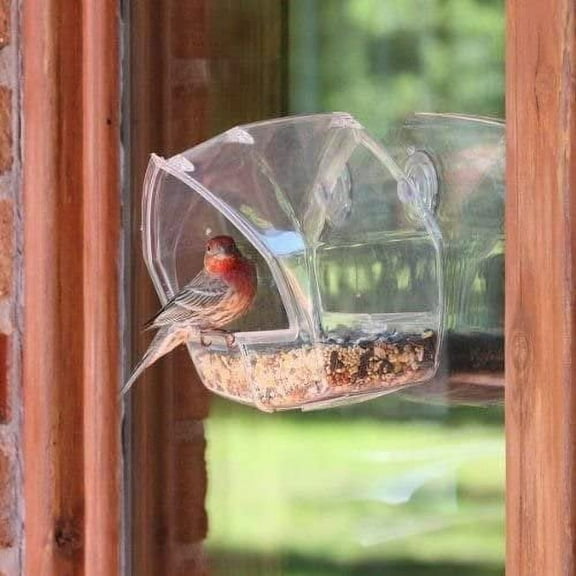 Moronoicy Clear Window Bird Feeder - Suction Cup Mount, Bird Watching Window Insert
