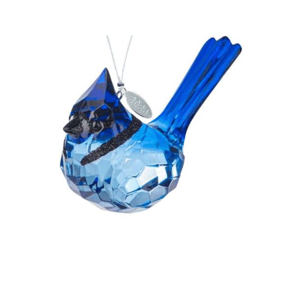 Birdwatcher Gift - Blue Jay Sparkling Suncatcher, Acrylic Ornament, 2026 Charm & Suction Cup - Perfect Bird Gift, Stunning Replica