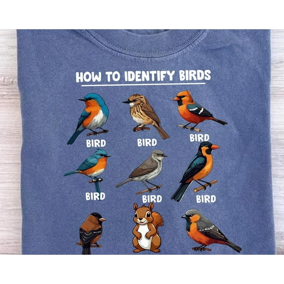 Birdwatching : How to Identify Birds Design - Walmart.com