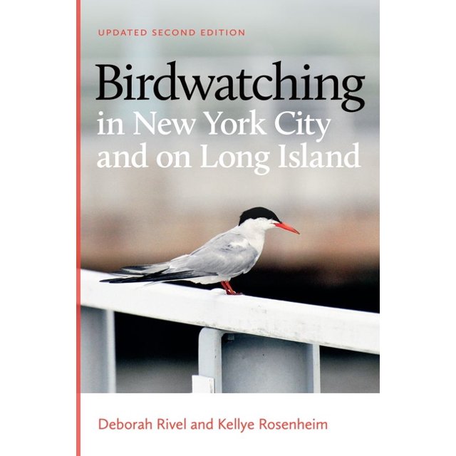 Birdwatching in New York City and on Long Island, (Paperback)